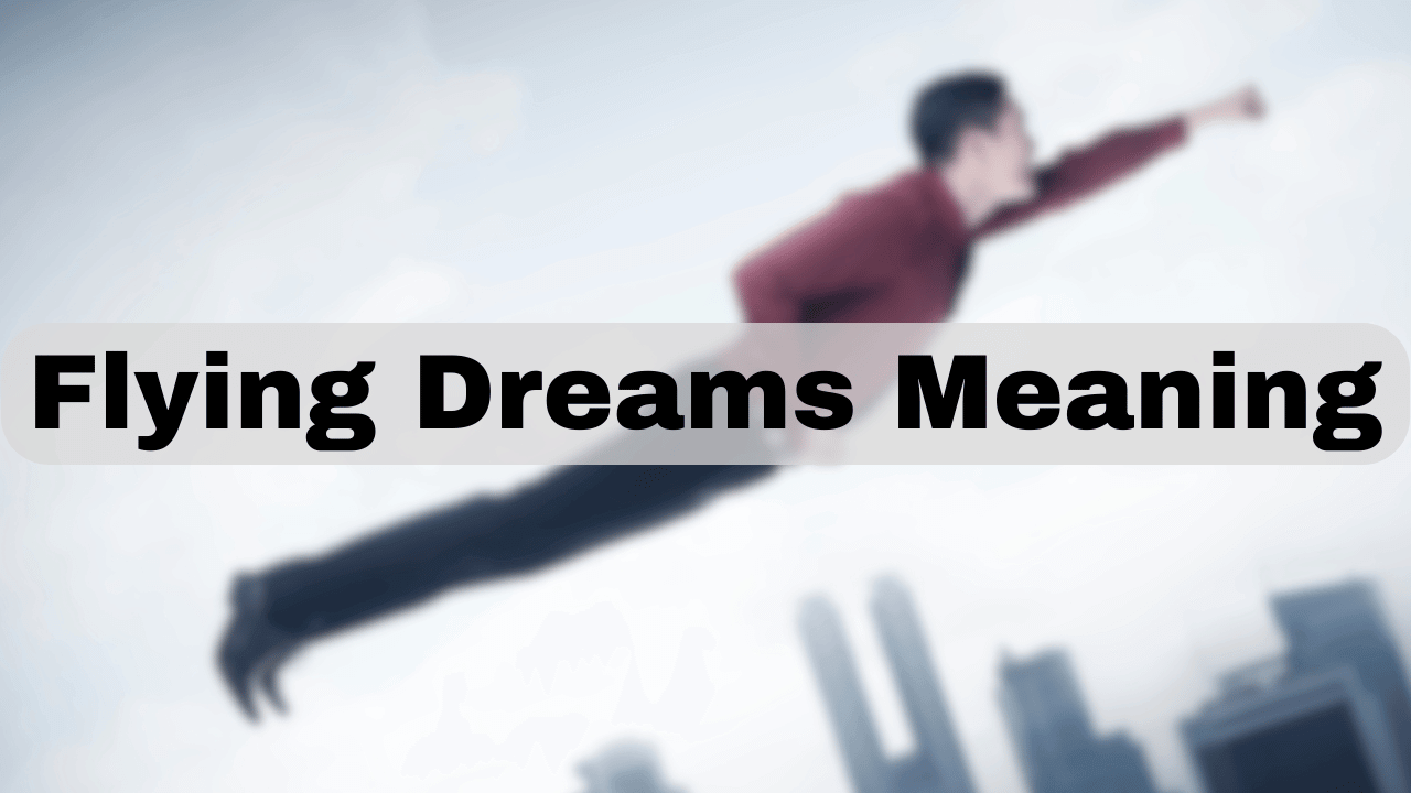 Flying Dreams Meaning