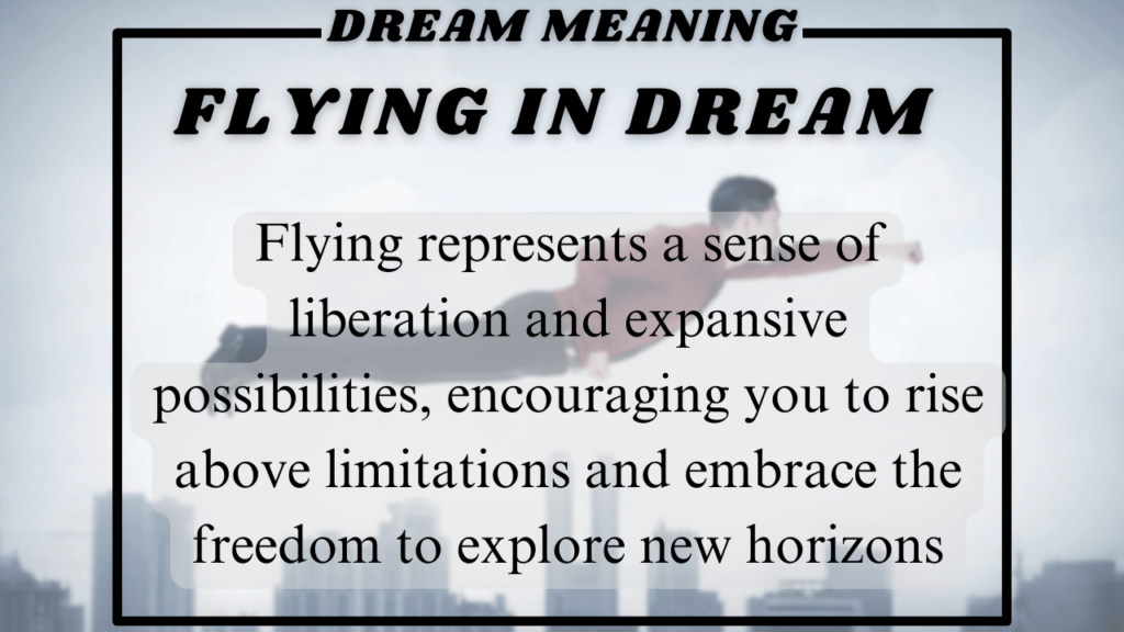 Flying Dream