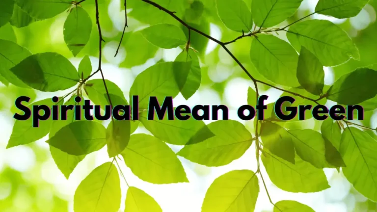 The image shows bright green leaves hanging from branches, with sunlight filtering through them. The text in the center of the image reads, "Spiritual Mean of Green." This background of natural greenery suggests a connection to nature and tranquility, often symbolizing growth, balance, and renewal in spiritual contexts.