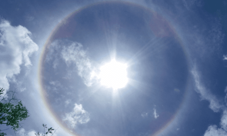 A bright sun shining in the sky with a faint circular ring around it. The sky is mostly clear, with a few clouds and some tree branches visible in the lower left corner.