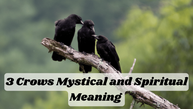 3 Crows Mystical and Spiritual Meaning