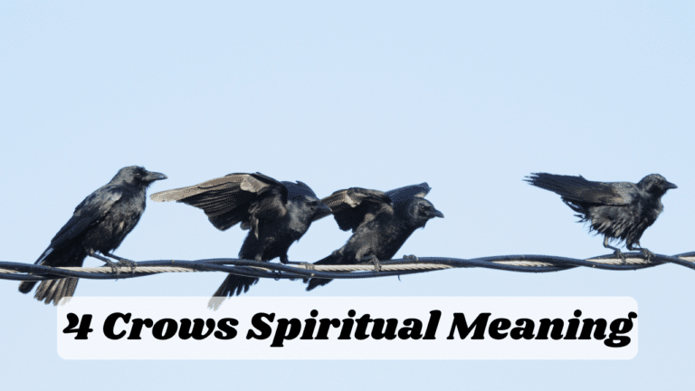 4 Crows Spiritual Meaning