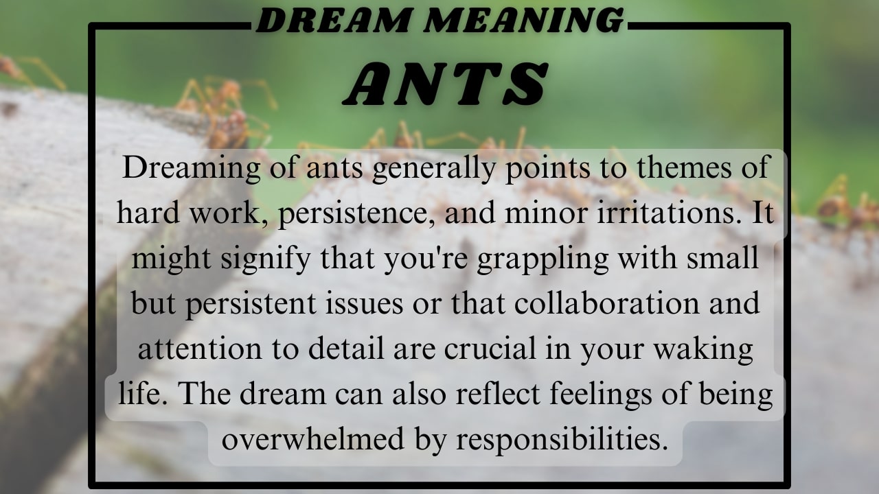 Ants in Dream meaning