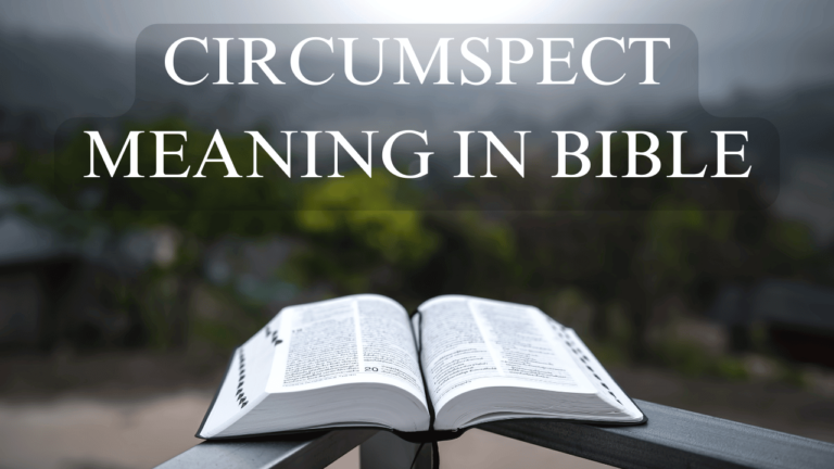 CIRCUMSPECT MEANING IN BIBLE