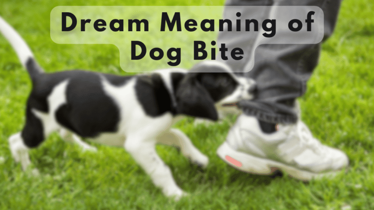 Dog bite Dream meaning