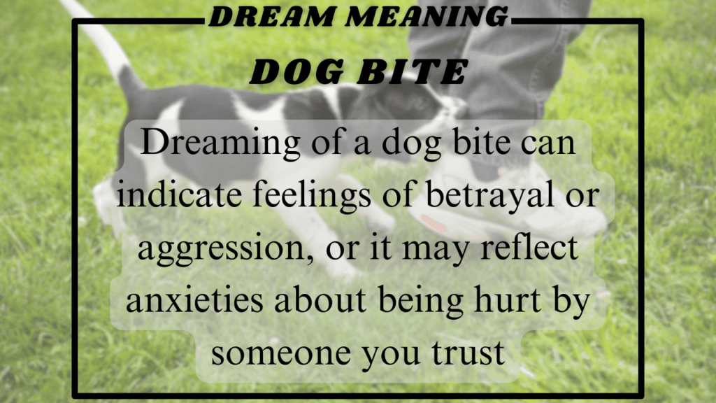 Dog bite Dream meaning