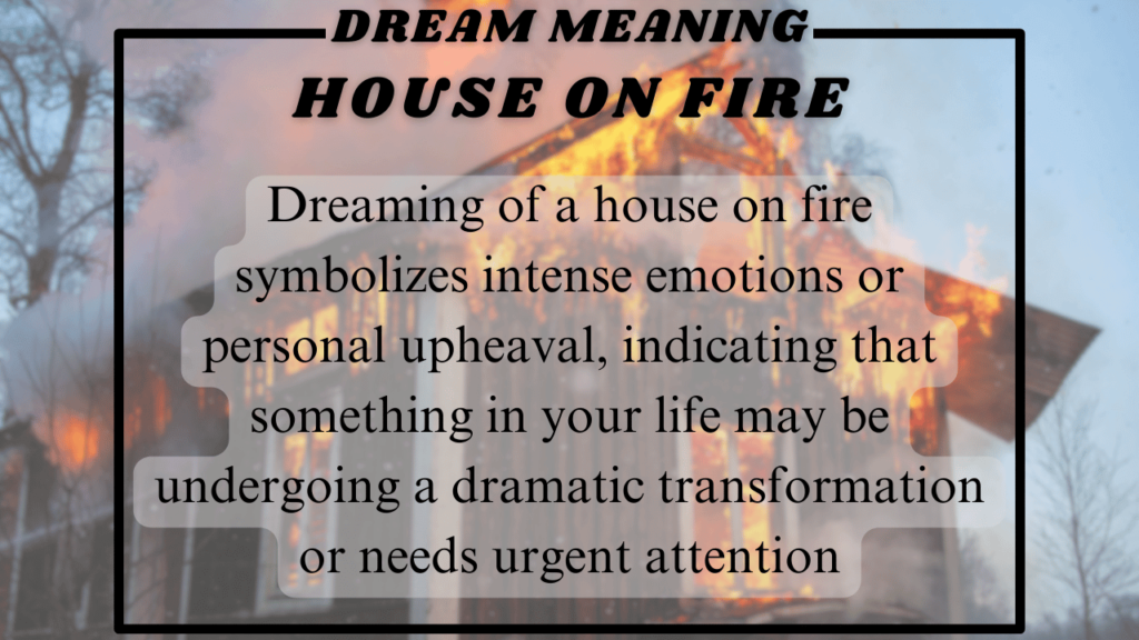 Dream of House on Fire2