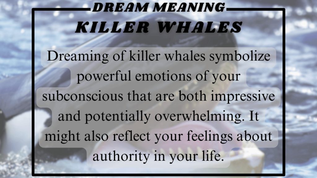 Killer whale dream meaning