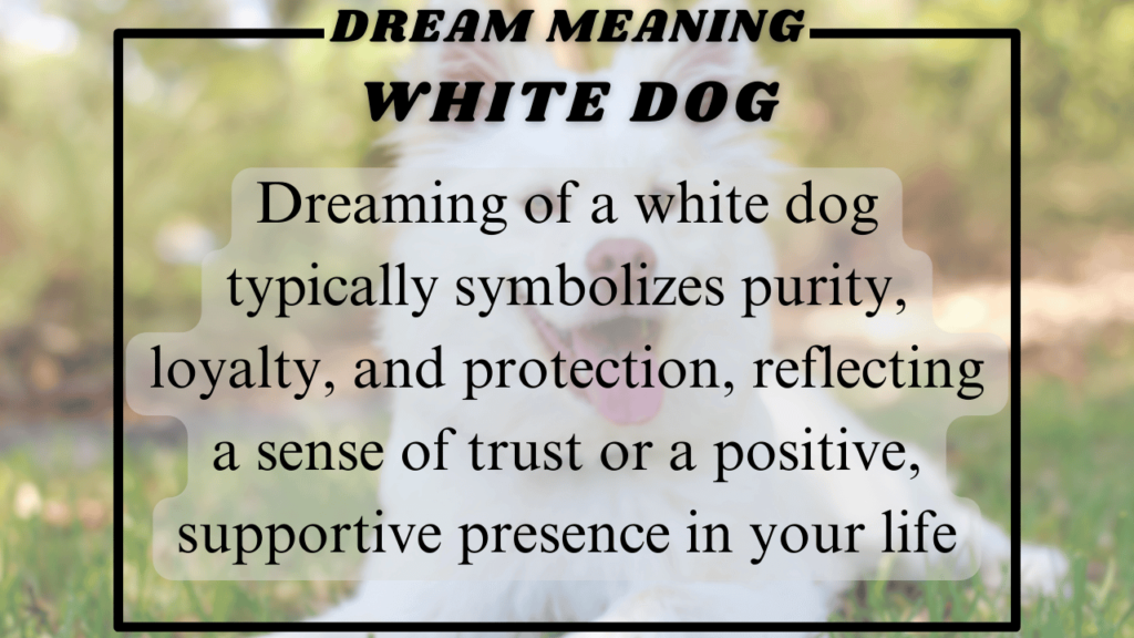 White dog Dream meaning