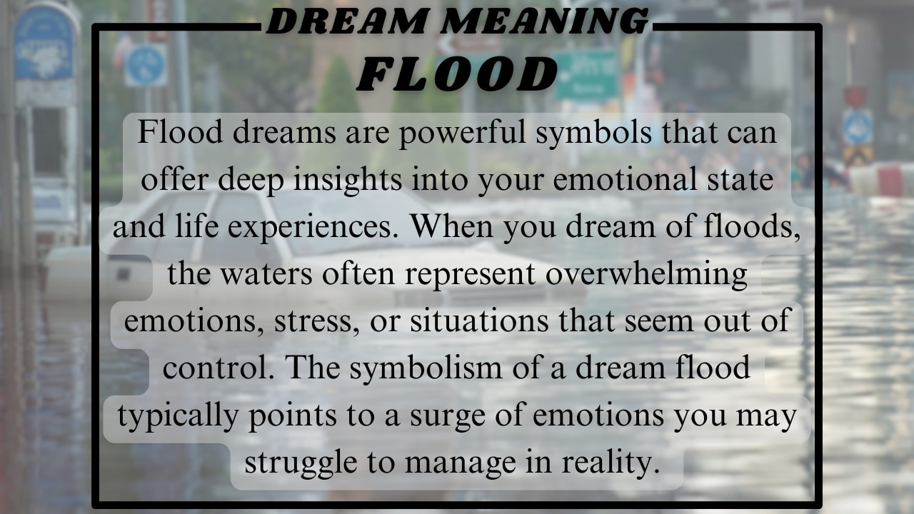 Flood Dream meaning