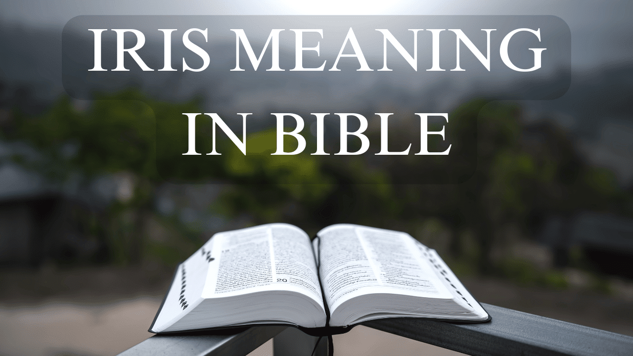 IRIS MEANING IN BIBLE