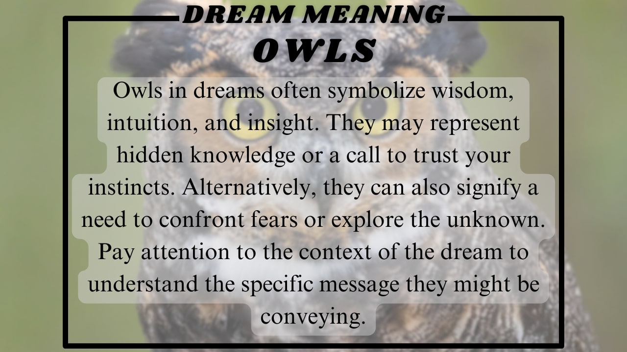 Owls Dream meaning