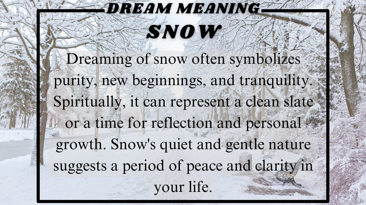 Snow Dream meaning