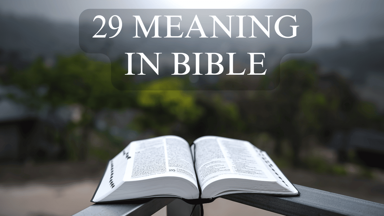 29 Meaning in BIBLE