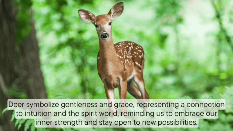 Deer Spiritual Meaning