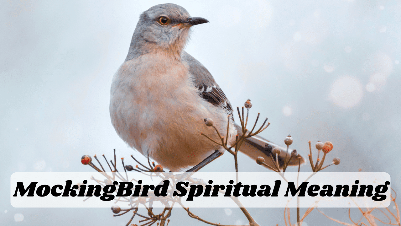 Mockingbird Spirituality