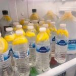 Lemon Water Bottles