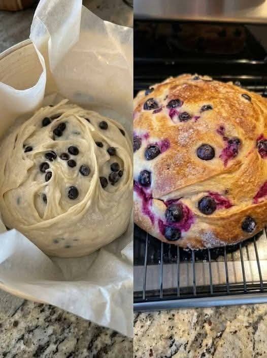 Blueberry Artisan Bread Recipe
