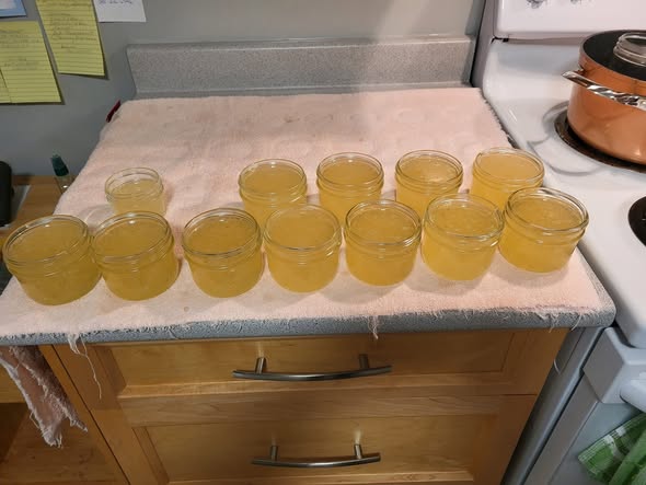 Homemade Garlic Jelly Recipe