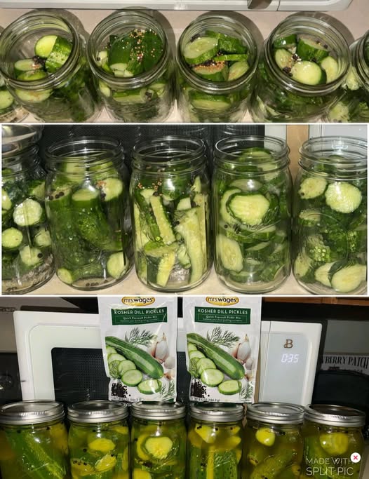 Homemade Kosher Dill Pickles Recipe
