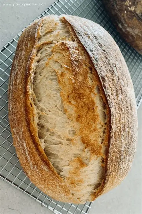 Homemade Artisan Sourdough Bread Recipe
