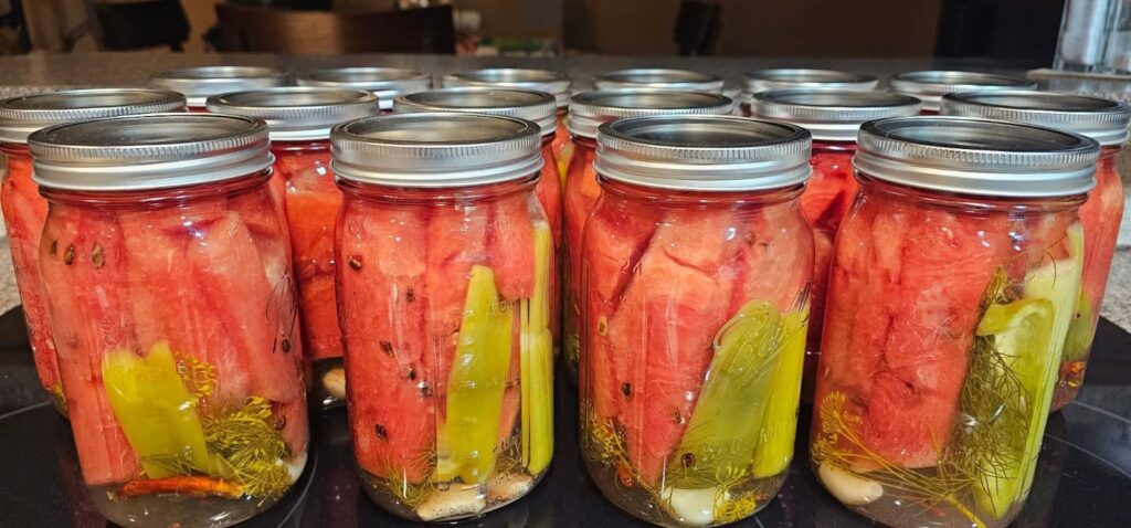 Pickled Watermelon with Garlic, Dill & Peppers 🍉🌶️Recipe